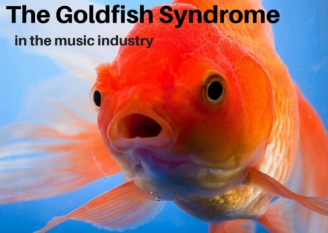 ow to effective attract music fans in the ever more increasing music sphere where consumers no longer have a long attention span