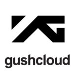 YG invest in Gushcloud