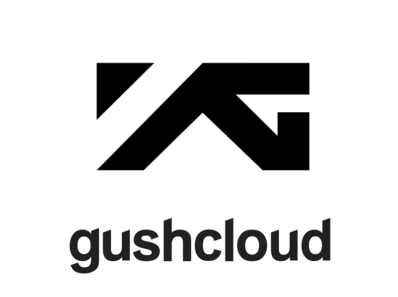 YG invest in Gushcloud