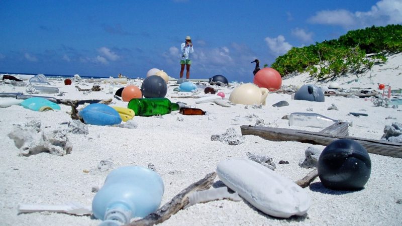 Plastic production has increased 20-fold over the last 50 years, and is expected to double again in the next 20 years.