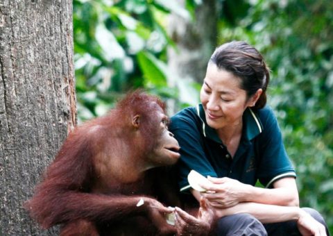 [Music Press Asia] Michelle Yeoh calls for other environmentalist ambassador. Photo credit: National Geograaphic