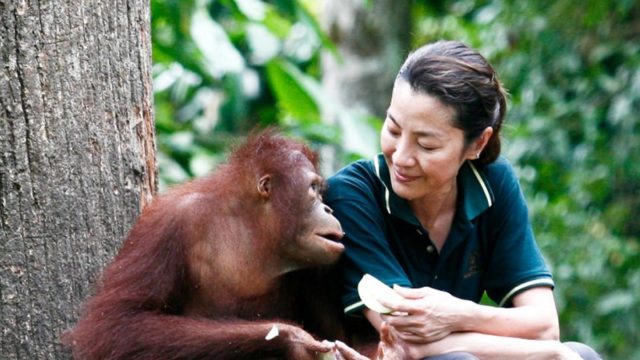 [Music Press Asia] Michelle Yeoh calls for other environmentalist ambassador. Photo credit: National Geograaphic