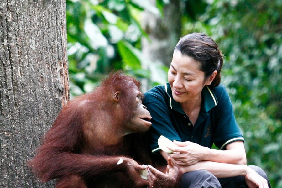 [Music Press Asia] Michelle Yeoh calls for other environmentalist ambassador. Photo credit: National Geograaphic