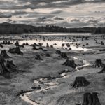 “Stumps, Alder Lake, Nisqually River, Washington” by Hal Gage, United States of America, Shortlist, Open, Landscape (Open Competition), 2019 Sony World Photography Awards.