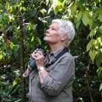 Judi Dench's Wild Borneo Adventure is now playing on National Geographic Discovery Asia's channel on Astro. Photo credit: ITV. Music Press Asia