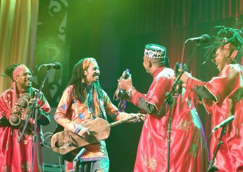 Rainforest World Music Festival. Artist performance. Music Press Asia