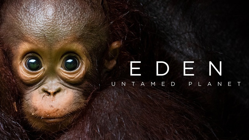 Eden: Untamed Planet is now available on Astro. Music Press Asia