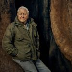 David Attenborough narrates BBC nature documentary1. Music Press Asia