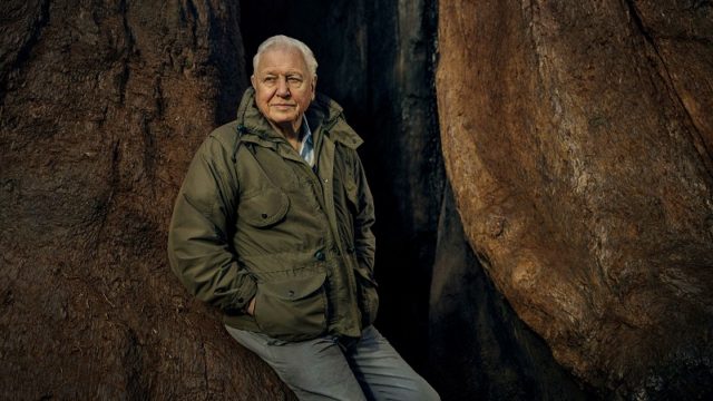 David Attenborough narrates BBC nature documentary1. Music Press Asia