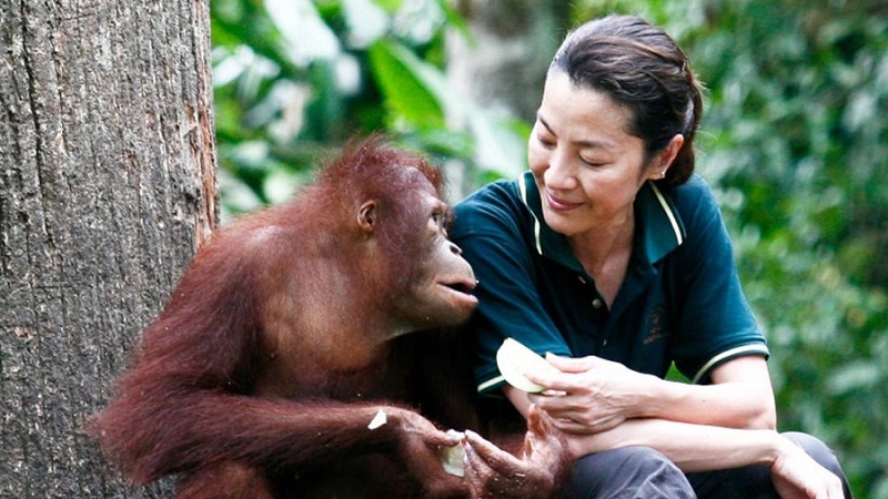 Michelle Yeoh orangutan ambassador. Music Press Asia