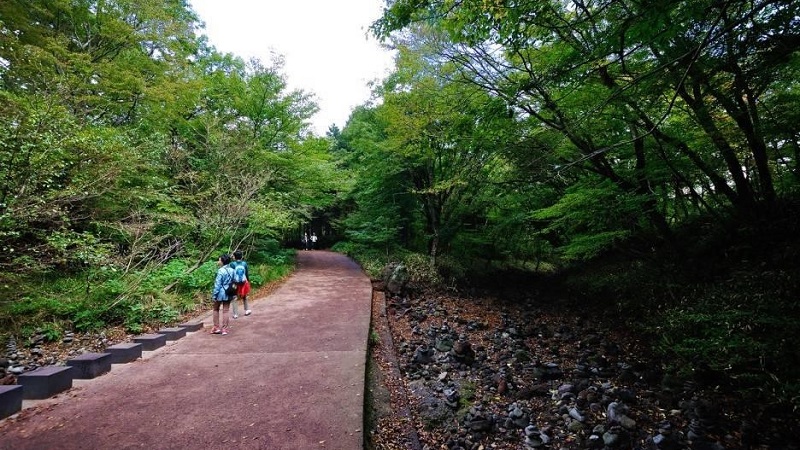 Saryeonisup Forest Trail Jeju. Music Press Asia