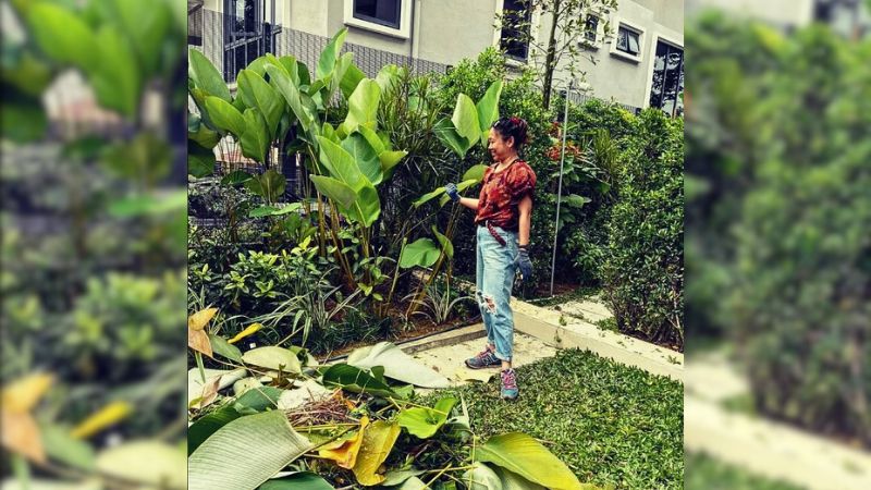 Monica Tong Music Press Asia Landscape Design Tropical Garden Expert