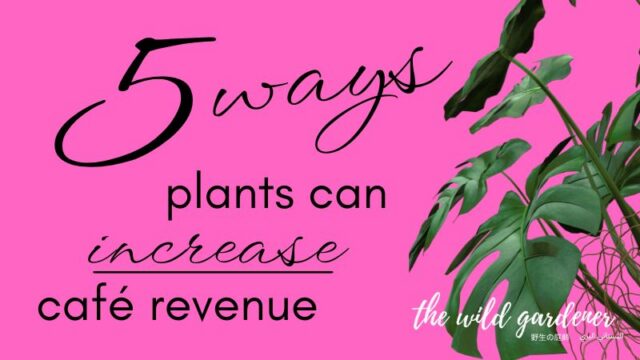 5 ways plnts can increase cafe revenue wildrain gardener
